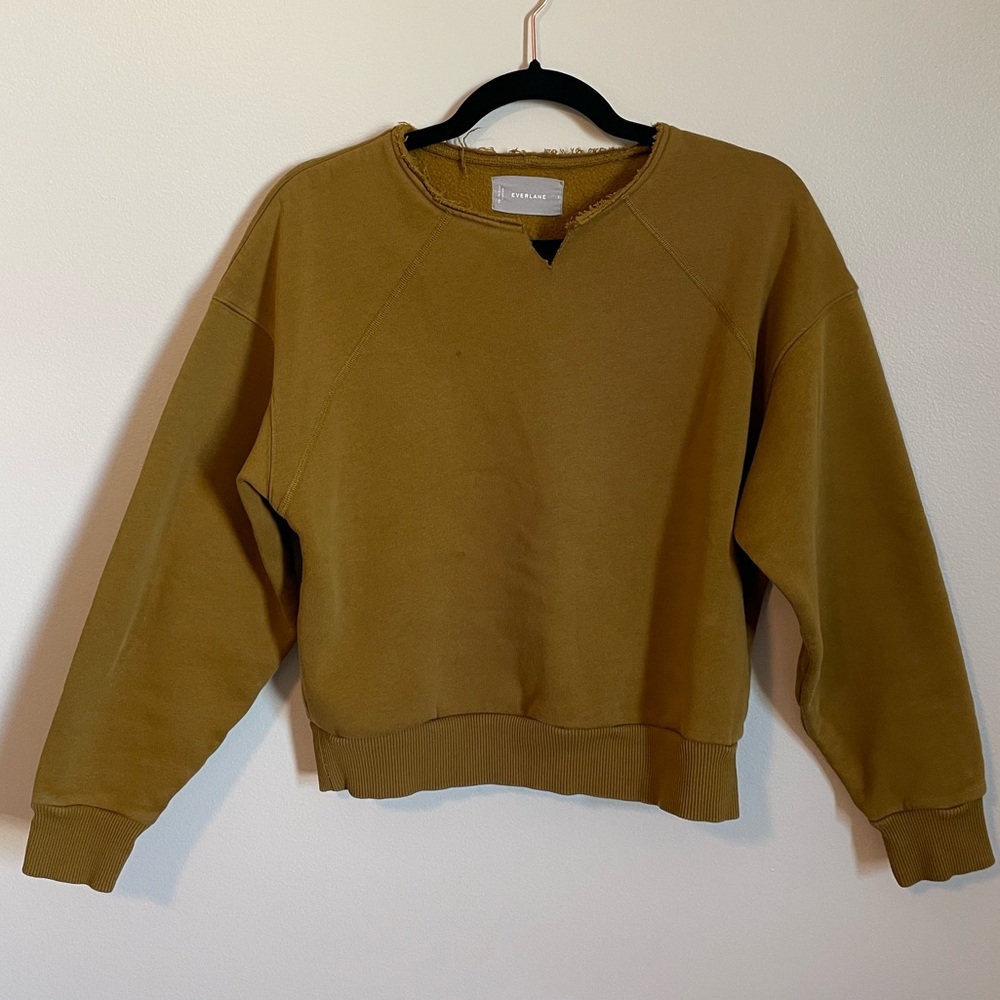 Everlane Cropped Sweatshirt